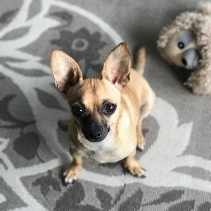 Meet your Posher, Kristi